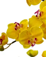 Nearly Natural Yellow Phalaenopsis Orchid Artificial Arrangement with White Planter