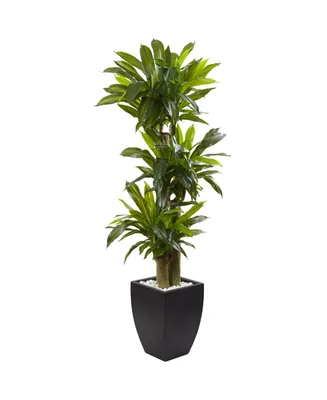 Nearly Natural 5.5' Corn Stalk Dracaena Artificial Plant in Black-Washed Planter