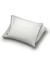 Pillow Guy White Goose Down Soft Density Pillow with 100% Certified Rds Down, and Removable Pillow Protector - Set of 2