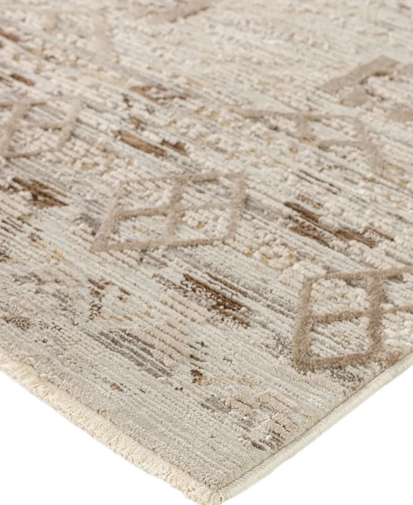 D Style Moises MSS3 7'10" x 10' Area Rug