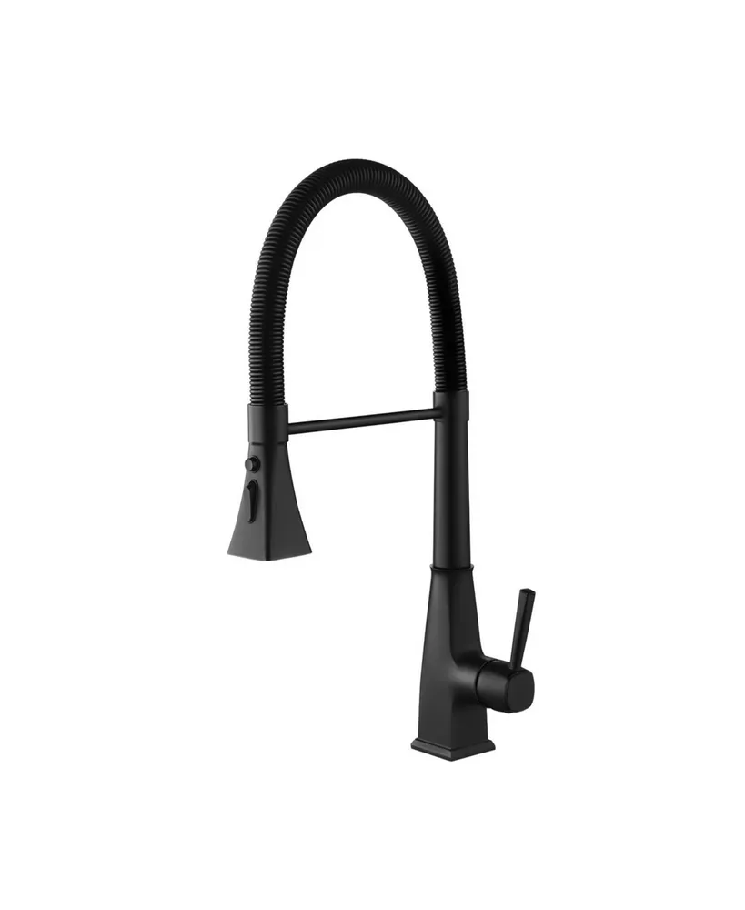 Streamdale Furniture Kitchen Faucet With Pull Down Sprayer