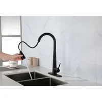 Streamdale Furniture Kitchen Faucets With Pull Down Sprayer, Kitchen Sink Faucet With Pull Out Sprayer