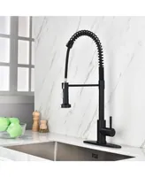 Simplie Fun Kitchen Faucet With Pull Out Sprayer