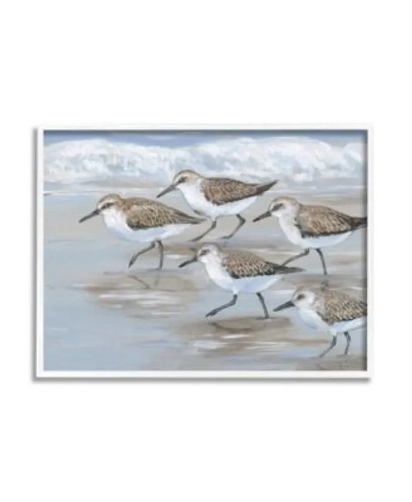 Stupell Industries Sandpiper Birds Beach March Wall Art Collection