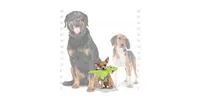 Mighty Jr Dragon Green, 2-Pack Dog Toys