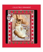 Frame Ornament Cat 'Meowy Christmas'