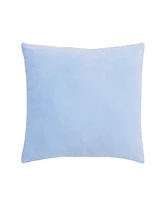 Disney Frozen 2 Toddler Pillow, 15" x 3.75"