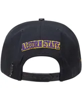 Men's Pro Standard Black Alcorn State Braves Arch Over Logo Evergreen Snapback Hat