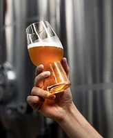 Waterford Craft Brew 2 Piece Ipa Glass Set, 16 oz