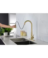 Gold Kitchen Faucets With Pull Down Sprayer, Kitchen Sink Faucet With Pull Out Sprayer