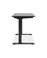 Lynxtyn Adjustable Height Desk