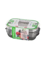 Prepworks Prokeeper Berry Produce Storage Container