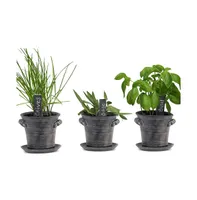 Window Garden Herb Growing Kit - Grow an Indoor Garden, Herb Kitchen Windowsill - Non Gmo Seeds, Fresh Organic Basil, Chives, Sage