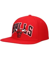 Men's Pro Standard Red Chicago Bulls Wordmark Logo Snapback Hat