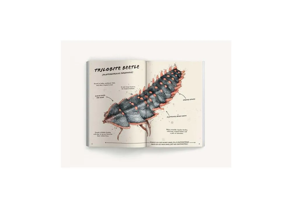 The Ultimate Bug Field Guide