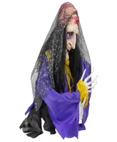 20" Lighted and Animated Fortune Teller Halloween Decoration