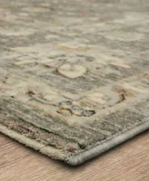 Karastan Divina Euphoric Area Rug