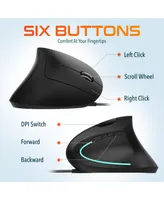 Delton Ergonomic 12 Usb Mouse