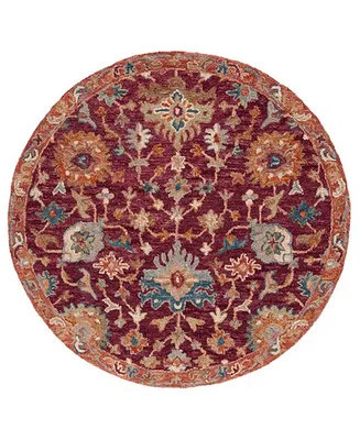 Safavieh Aurora APN144 5' x 5' Round Area Rug