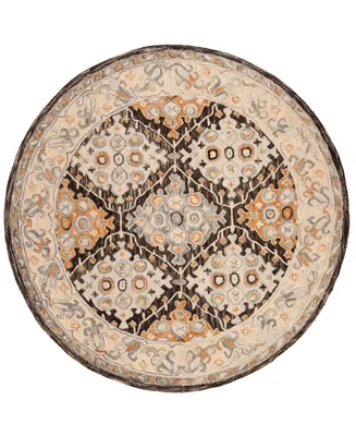 Safavieh Aurora APN304 5' x 5' Round Area Rug