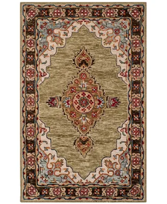 Safavieh Aurora APN506 4' x 6' Area Rug