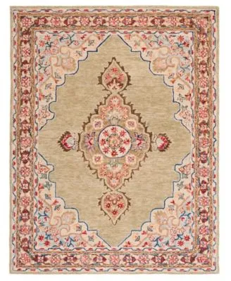 Safavieh Aurora Apn506 Area Rug