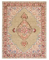 Safavieh Aurora Apn506 Area Rug