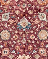 Safavieh Aurora APN144 4' x 6' Area Rug