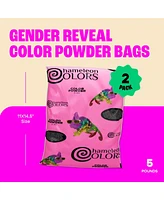 Chameleon Colors Pink Gender Reveal Powder