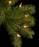 National Tree Company 24" Downswept Douglas Wreath with Warm Led Lights