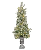 National Tree Company 4' Frosted Colonial Fir Entrance Tree with Warm Led Lights