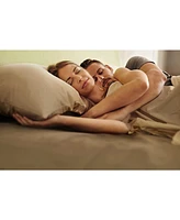 Cotton Fitted Sheet 18