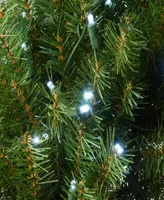 National Tree Company 30" Memory-Shape Norwood Fir Wreath with Led Lights