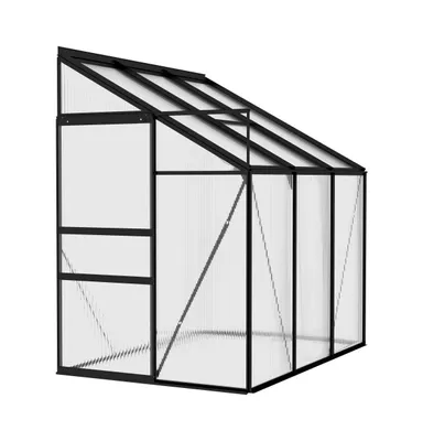 vidaXL Greenhouse Anthracite Aluminum ft