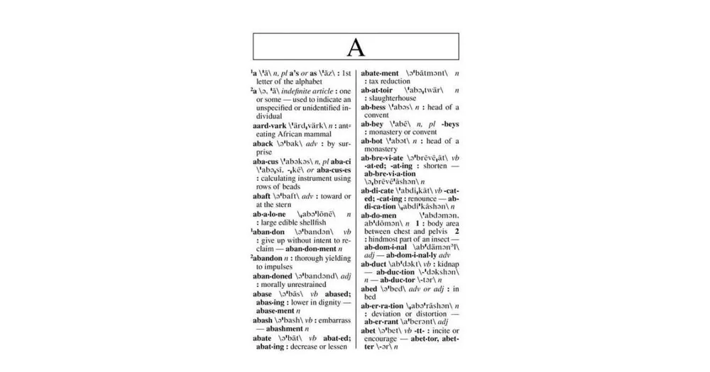 Merriam-Webster's Concise Dictionary- Large Print Edition by Merriam