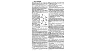 Merriam-Webster's Collegiate Dictionary by Merriam-Webster