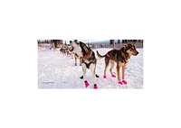 Dogwinks- True Godwink Stories of Dogs and the Blessings They Bring by SQuire Rushnell