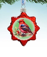 Designocracy Bird Keepsake Mercury Glass Christmas Ornaments G. DeBrekht