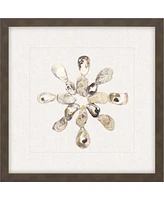 Oyster Shell I Framed Art