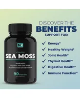 Nobi Nutrition Premium Sea Moss Capsules, Nobi Nutrition, 90ct