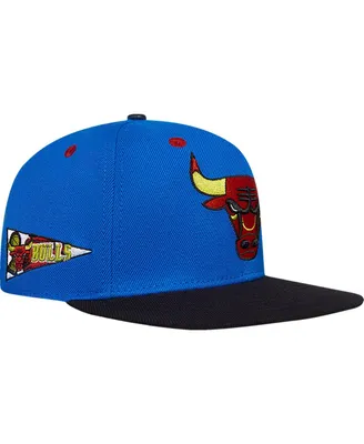 Men's Pro Standard Royal Chicago Bulls Any Condition Snapback Hat