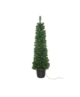 Kurt Adler 5' Pre-Lit Potted Tree with 100-Light Warm Led Bulbs