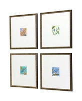 Botanical Ii Framed Art, Set of 4