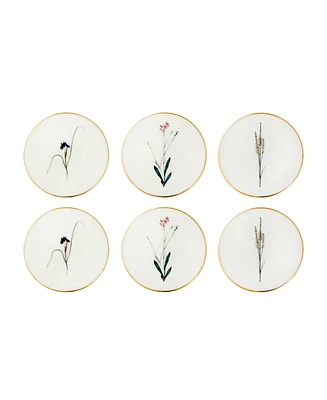 Porland Botanical 6 Piece Coaster Set, Service for 6