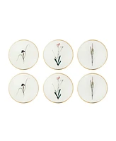 Porland Botanical 6 Piece Coaster Set, Service for 6