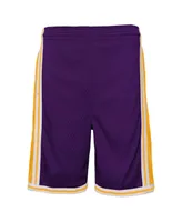 Big Boys Mitchell & Ness Purple Los Angeles Lakers Hardwood Classics Swingman Shorts