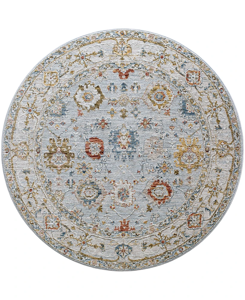Surya Reina Ren-2306 7'10" x 7'10" Round Area Rug