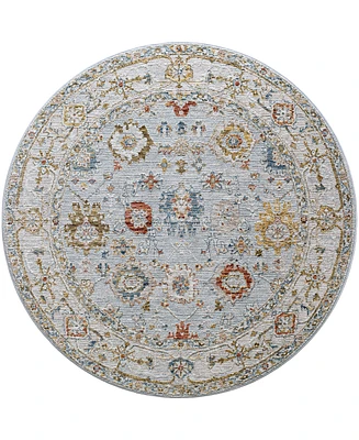 Surya Reina Ren-2306 7'10" x 7'10" Round Area Rug