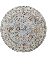 Surya Reina Ren-2306 7'10" x 7'10" Round Area Rug