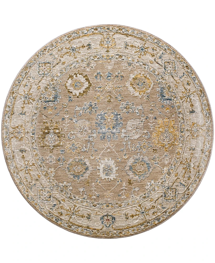 Surya Reina Ren-2308 7'10" x 7'10" Round Area Rug